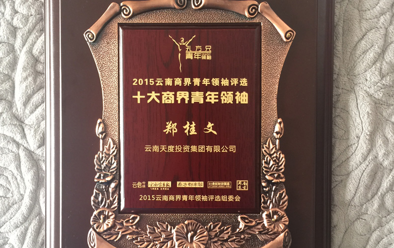 在&ldquo;互联网大时代&rdquo;的背景下，天度作为本土很大和很有名的互联网服务企业，为近万家传统企业转型互联网+提供了服务和帮助，获此奖项后，我们将再接再厉，创造更高的社会价值